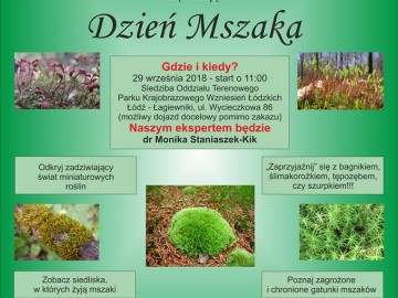Dzień Mszaka, 